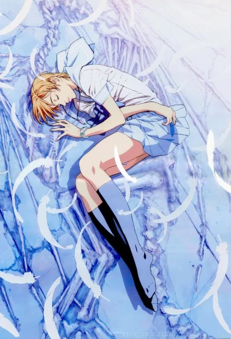 Escaflowne: A Girl in Gaea cover