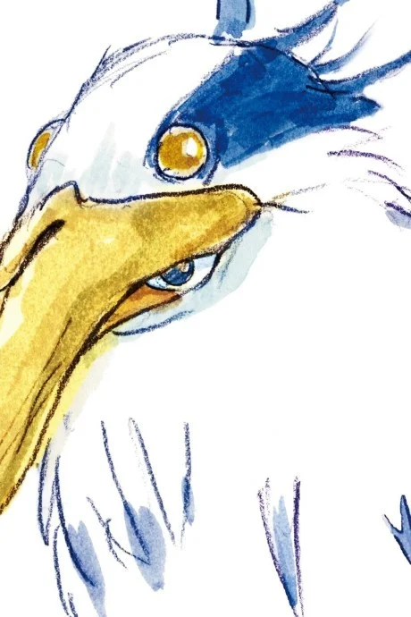 The Boy and the Heron cover